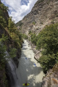 IMG_8264